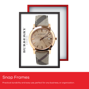 SNAP FRAMES